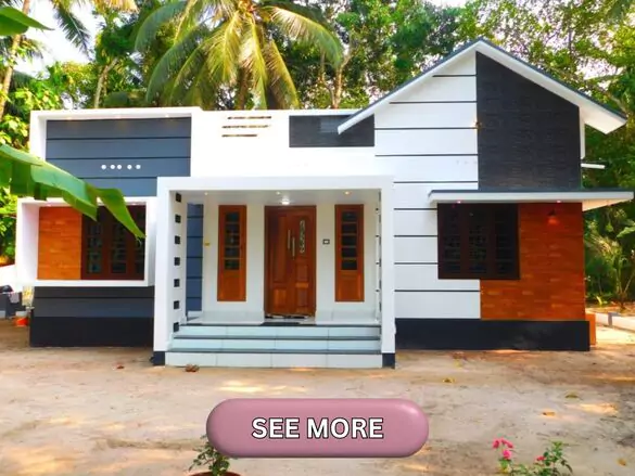 Kerala home construction