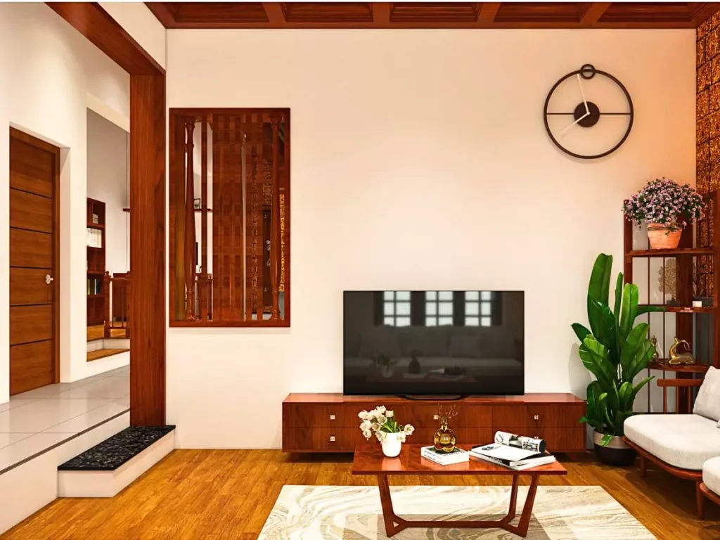 tv unit area